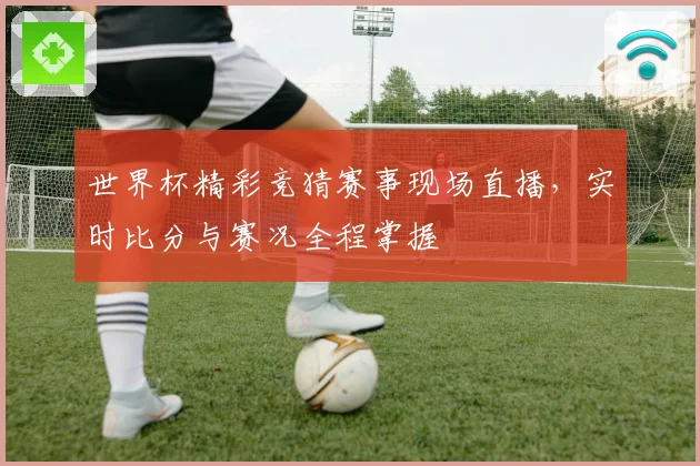 世界杯精彩竞猜赛事现场直播，实时比分与赛况全程掌握