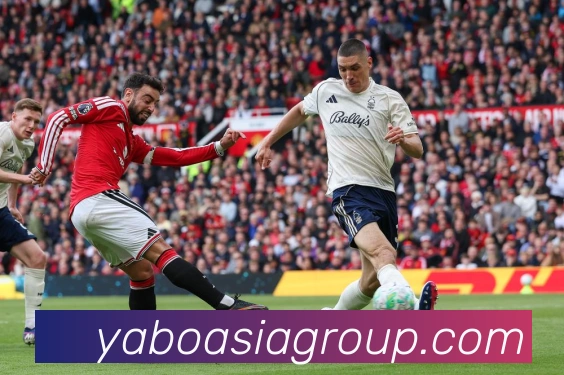 羽毛球明星阿尔菲安的成长历程与赛场辉煌成就成长观察